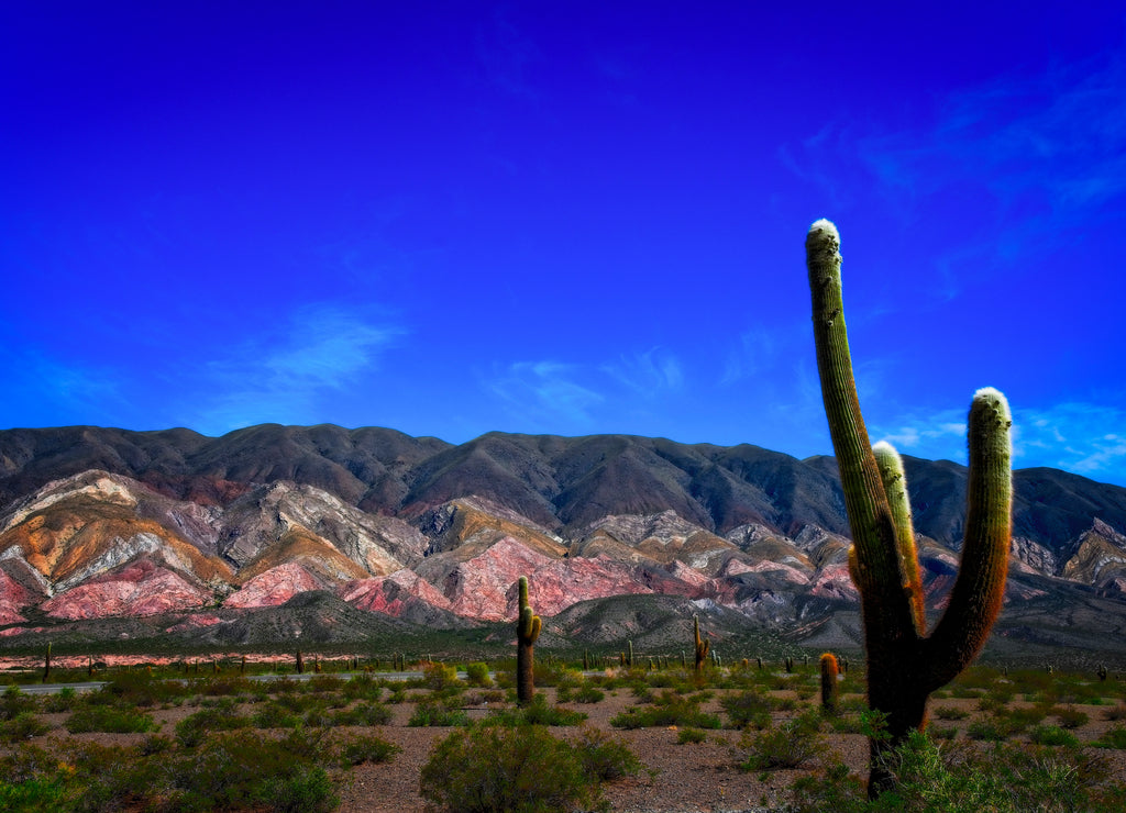 A beautiful view of Los Cardones National Park, Salta, Argentina