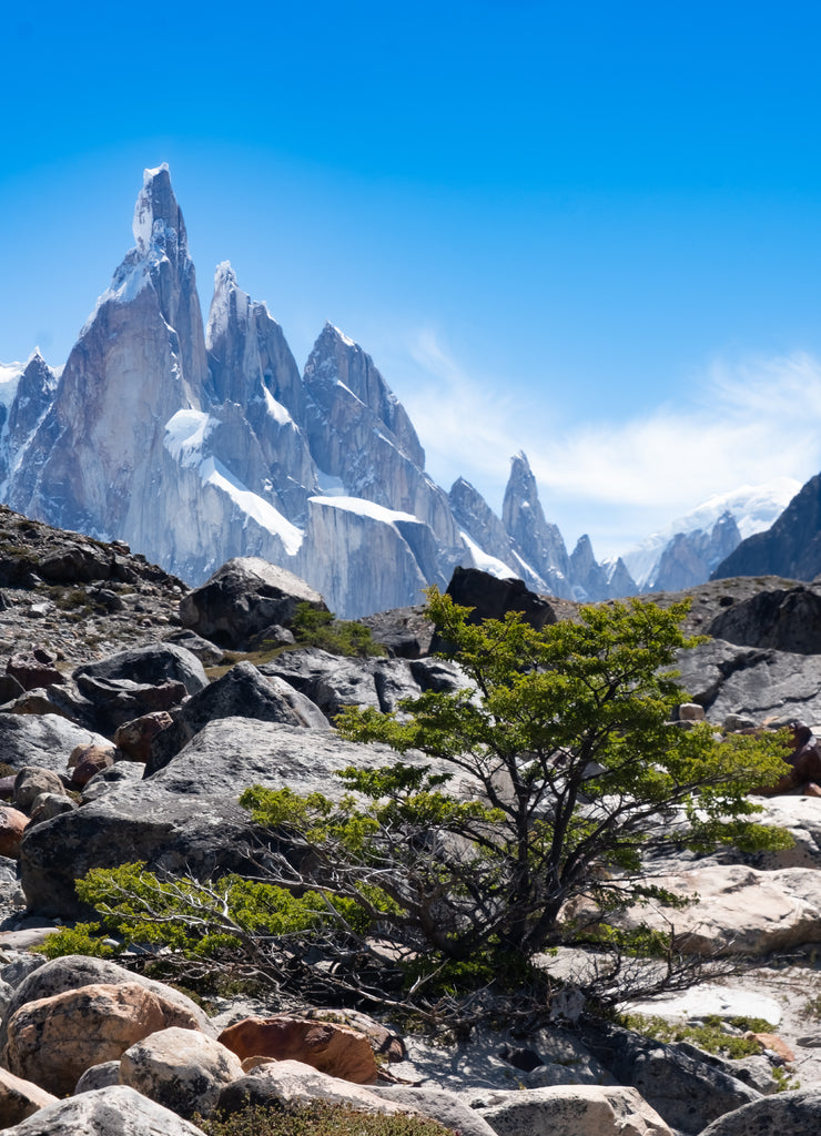 Cerro Torre Trek, El Chalten, Patagonia, Argentina