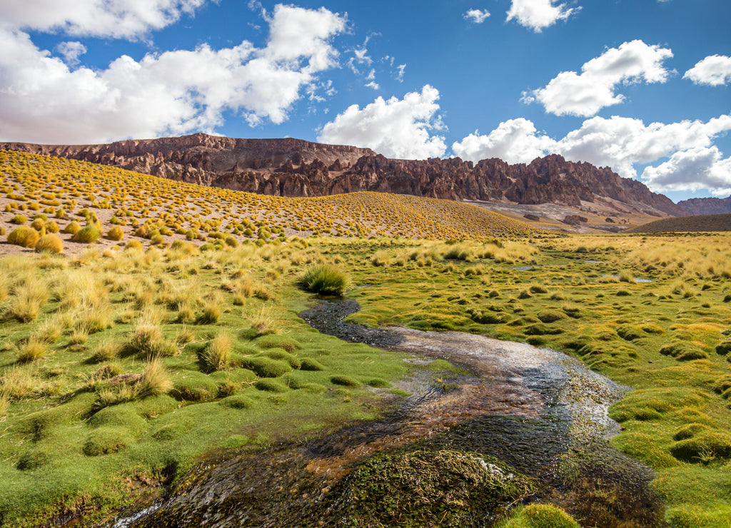 Beautiful landscape in northern Argentina