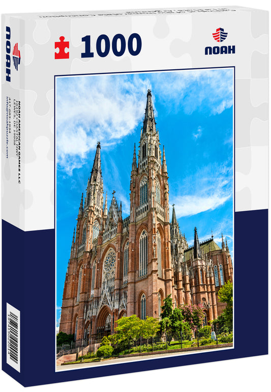 Cathedral of the Immaculate Conception in La Plata, Argentina