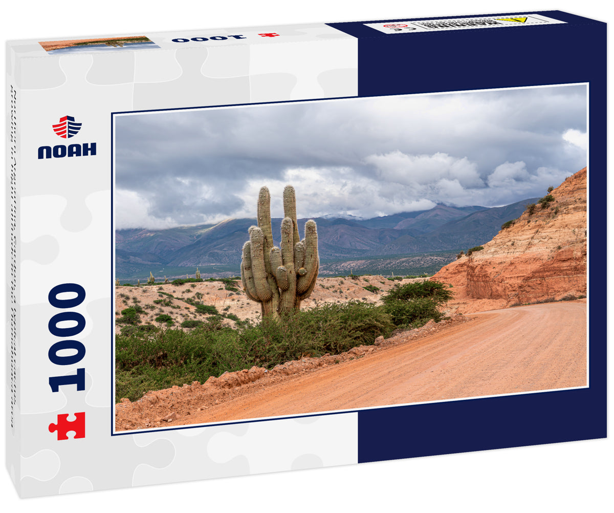 Northern Argentina, Cardon, a typical cactus growing in hight altitude in the Humahuaca area