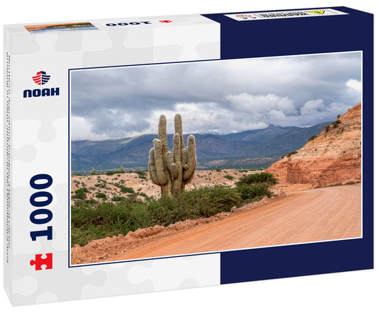 Northern Argentina, Cardon, a typical cactus growing in hight altitude in the Humahuaca area