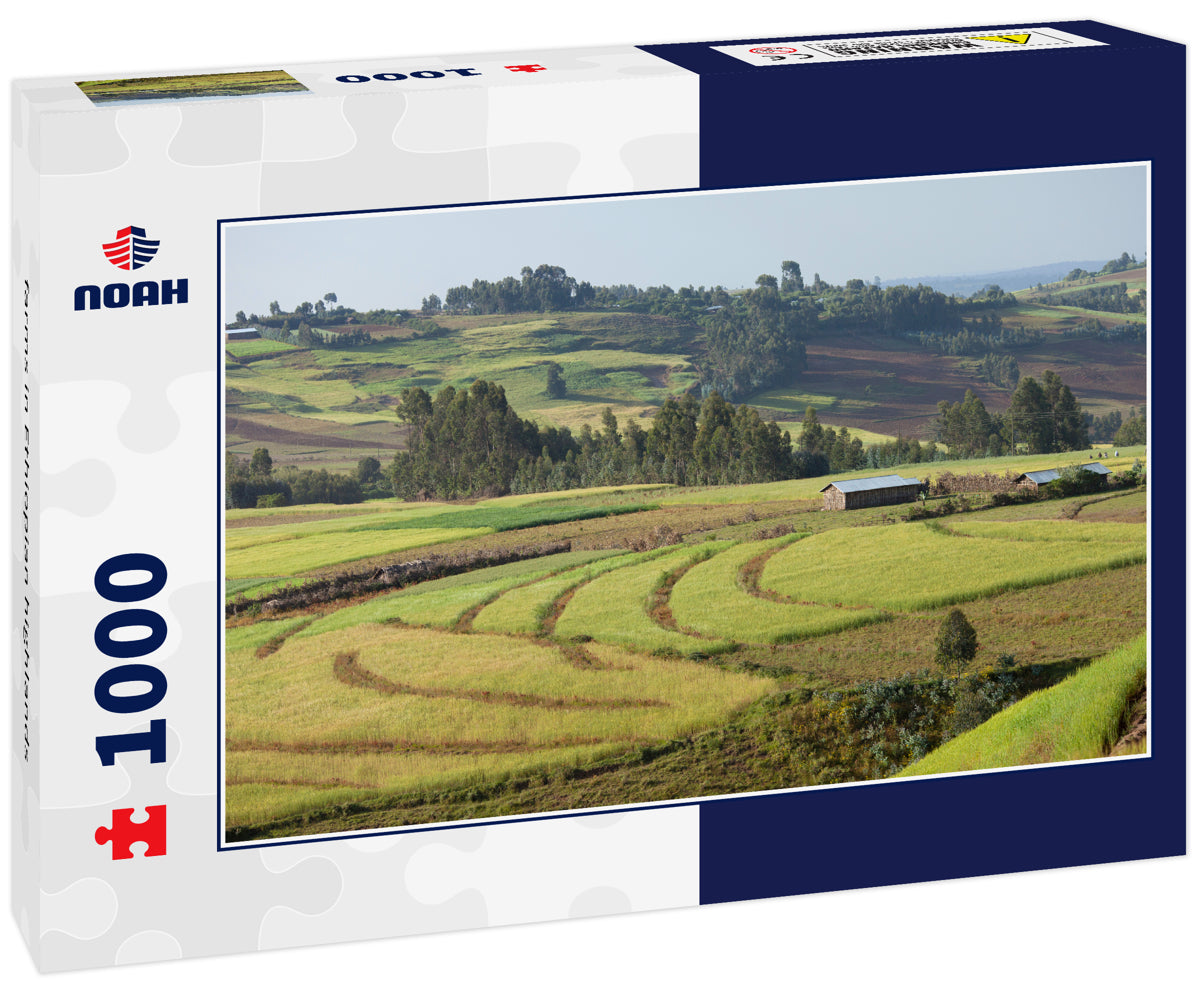 farms in Ethiopian highlands