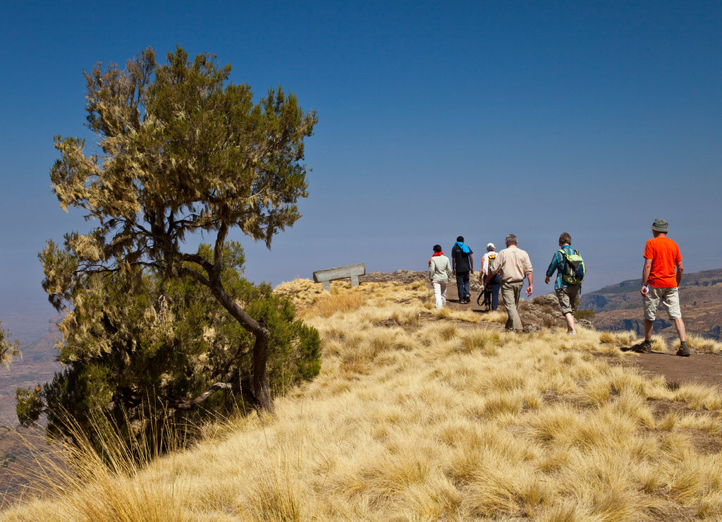 Zona de Chennek, Montañas Simien, Etiopia, Africa