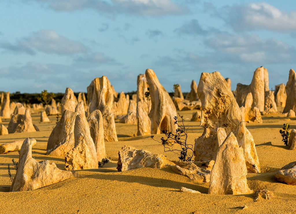 Pinnacles park in West Australia