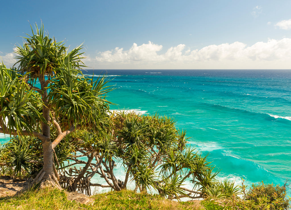 Queensland Coastline