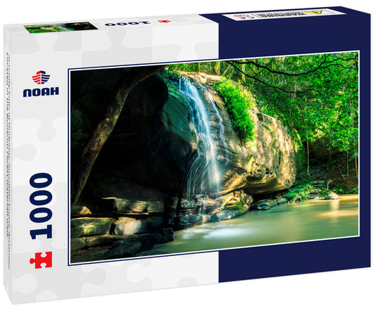 Serenity Falls in Buderim, Sunshine Coast, Australia. Located in the Buderim Forest waterfall walk