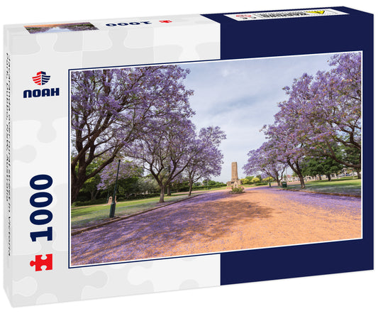 Jacaranda over rural street in Victoria Park, Dubbo, NSW, Australia