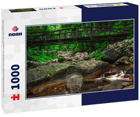 Natural Bridge Creek at Springbrook in Queensland