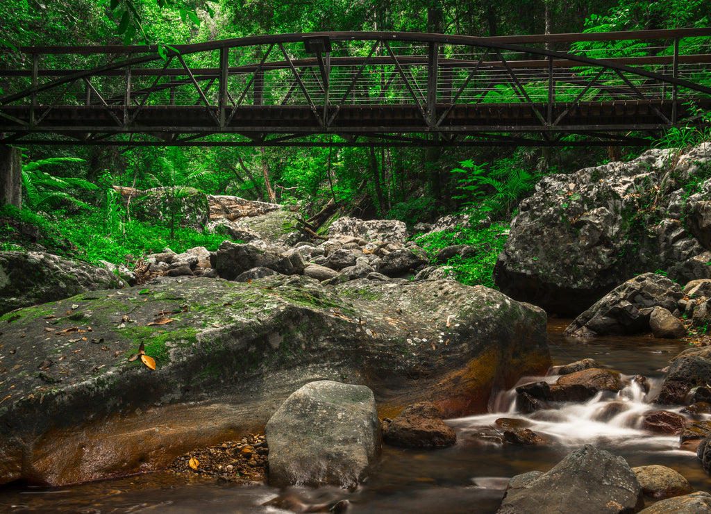 Natural Bridge Creek at Springbrook in Queensland