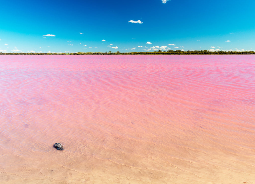 Pink Lake Australia
