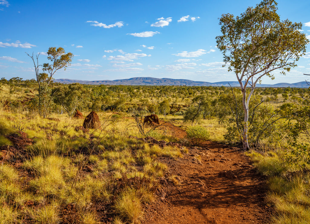 Hiking to Joffre Gorge lookout in Karijini National Park, Western Australia
