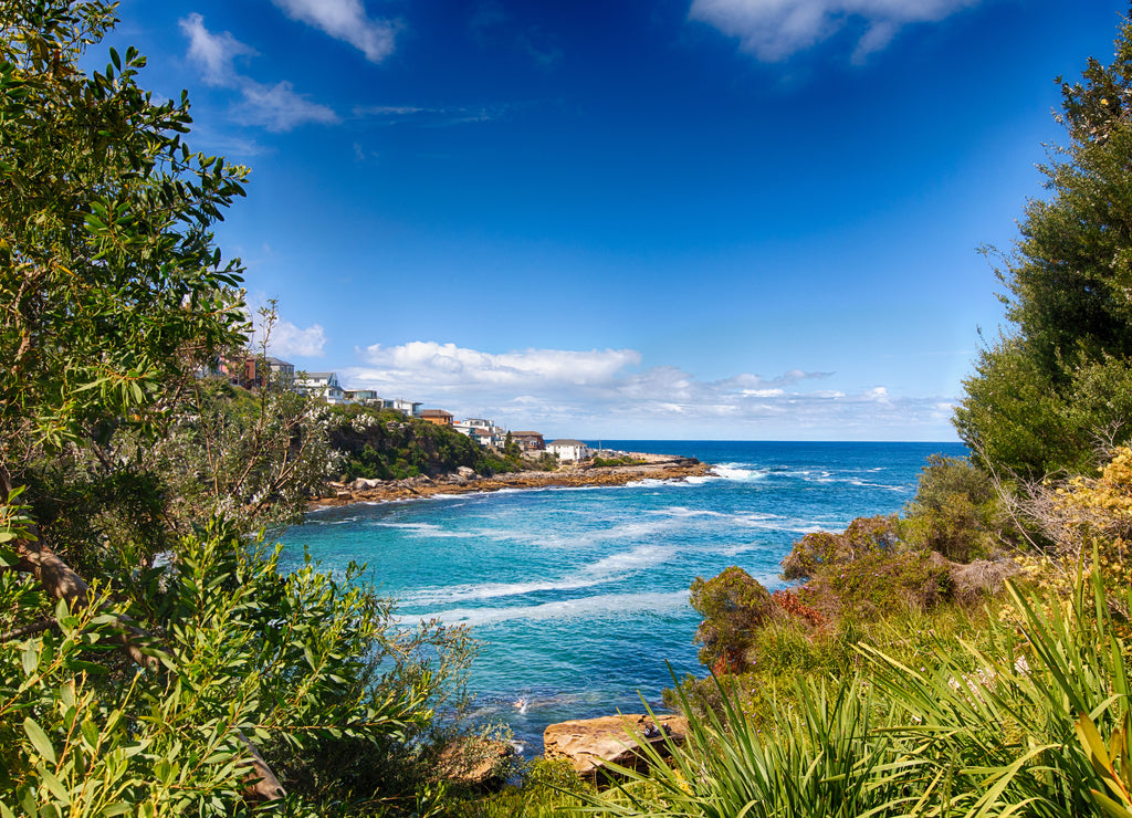 Bondi to Coogee Walk close to Gordons Bay in Sydney, Australia