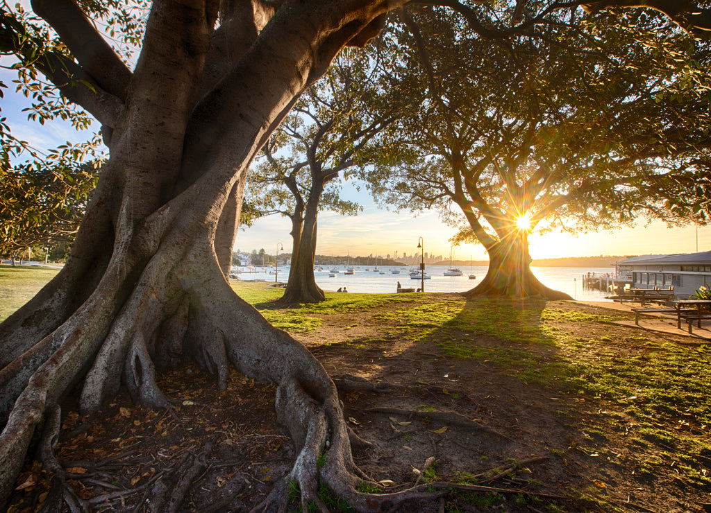 Watsons Bay close to Sydney, NSW, Australia