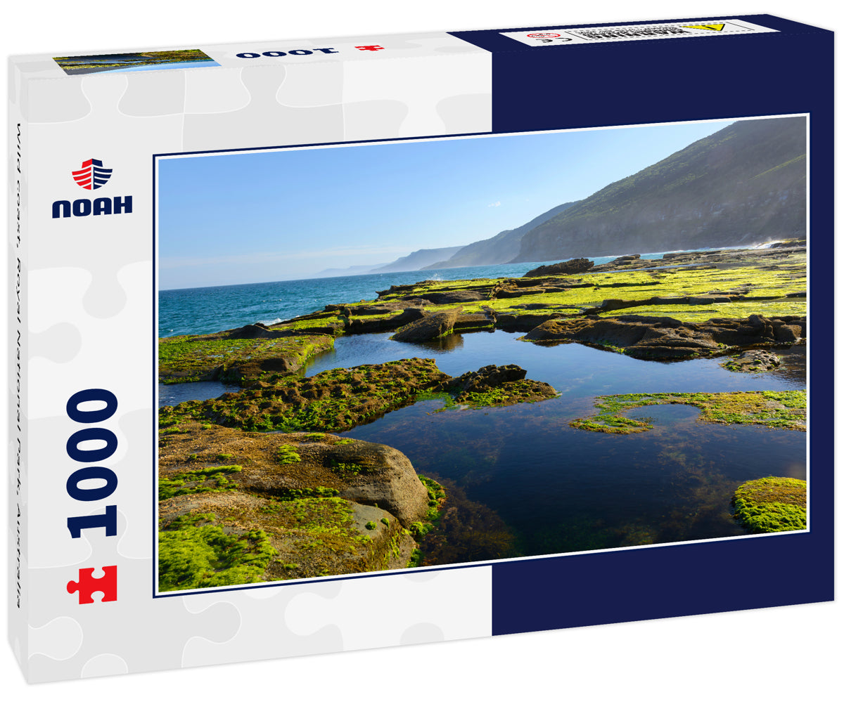 Wild coast, Royal National Park, Australia