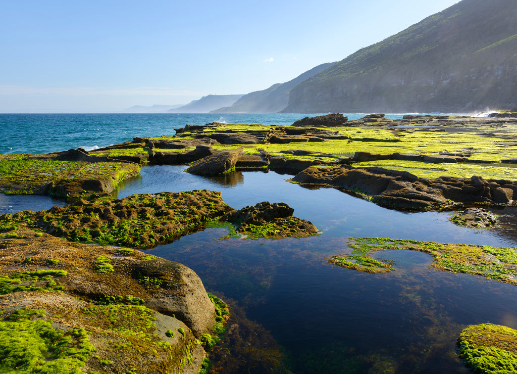 Wild coast, Royal National Park, Australia