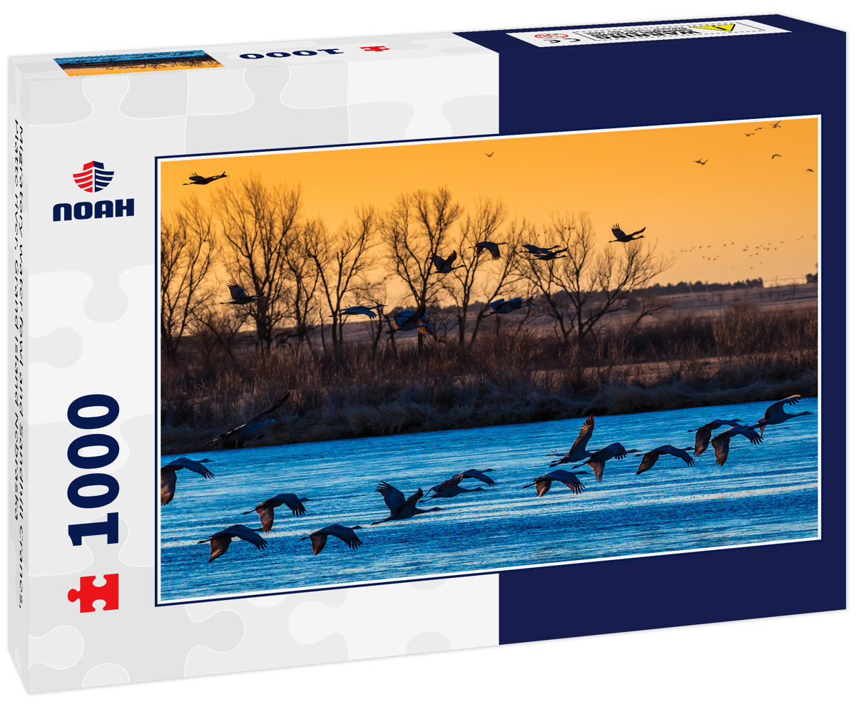 Migratory water fowl and Sandhill Cranes, Platte river, Grand Island Nebraska