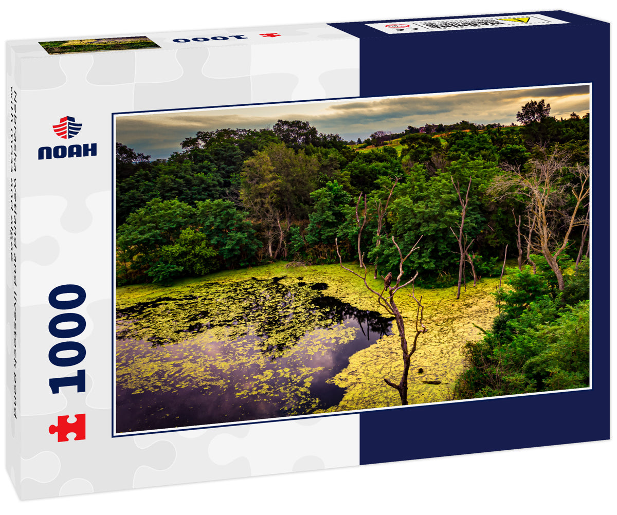 Nebraska wetland and livestock pond with moss and algae