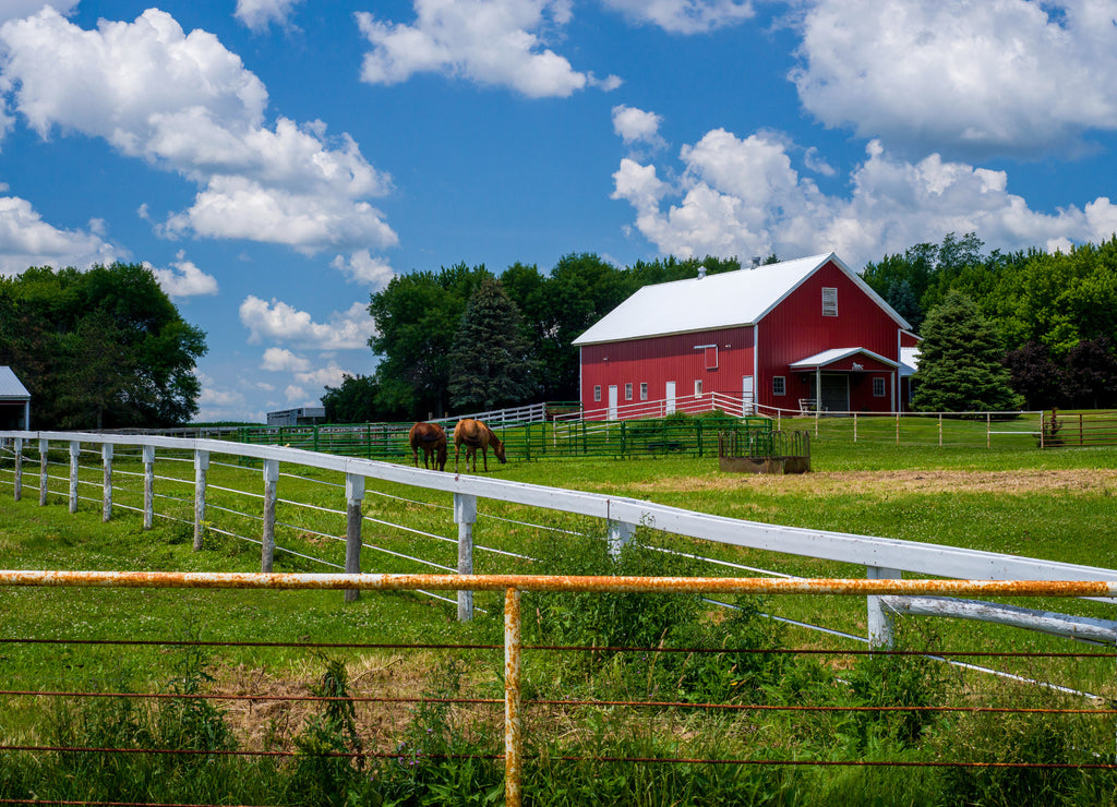 Horses fenced in southern Minnesota