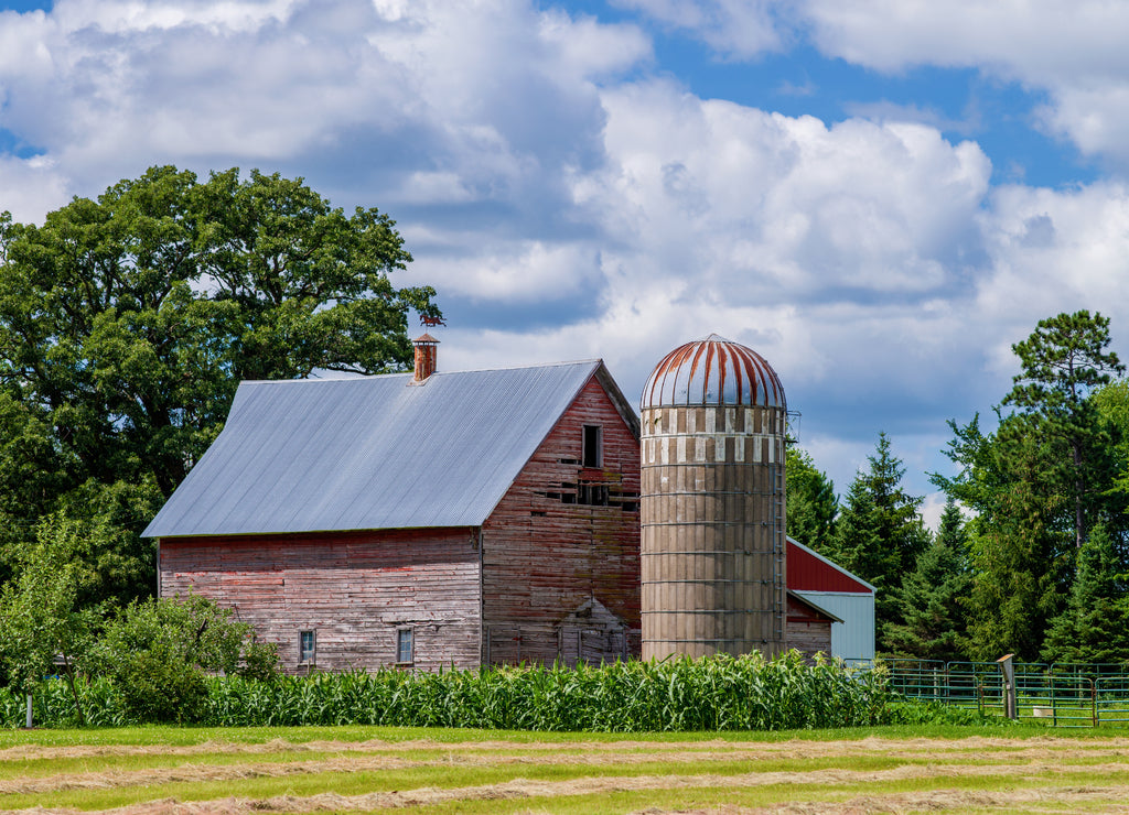 barn, silo, and corn, Minnesota