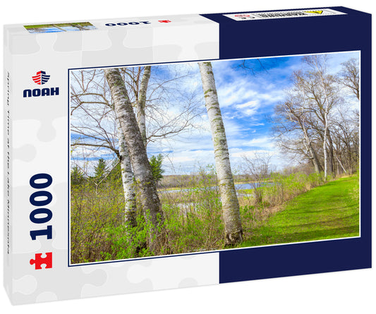 Spring Time at the Lake Minnesota