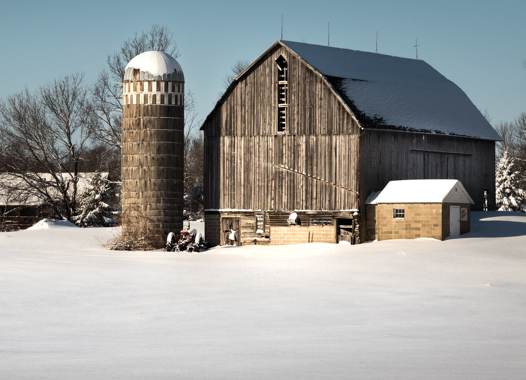 Old barn and silo Minnesota