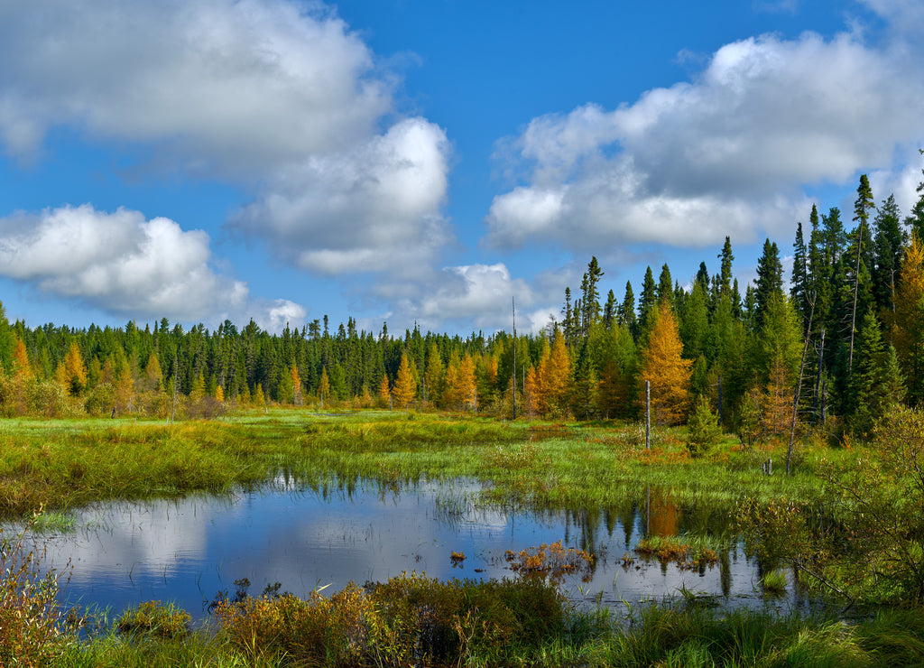 Grade road pond, Minnesota