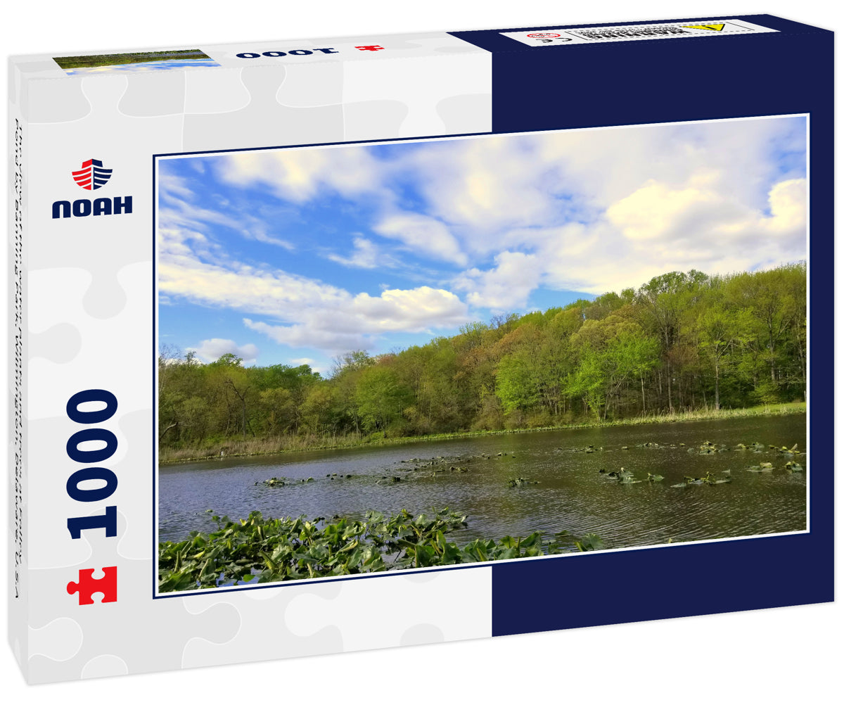 The view of the water plants and trees at Folley Pond by Banning Park, Wilmington, Delaware, U.S.A