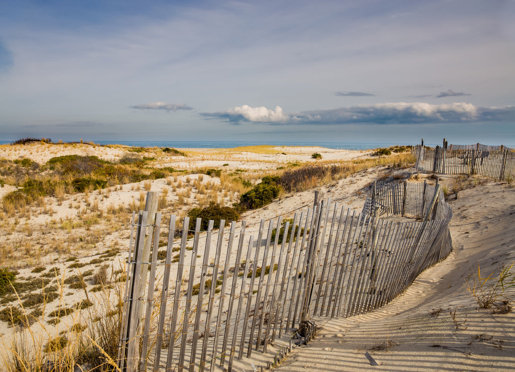 Windswept Cape Henlopen Dunes in Sussex County, Lewes, Delaware