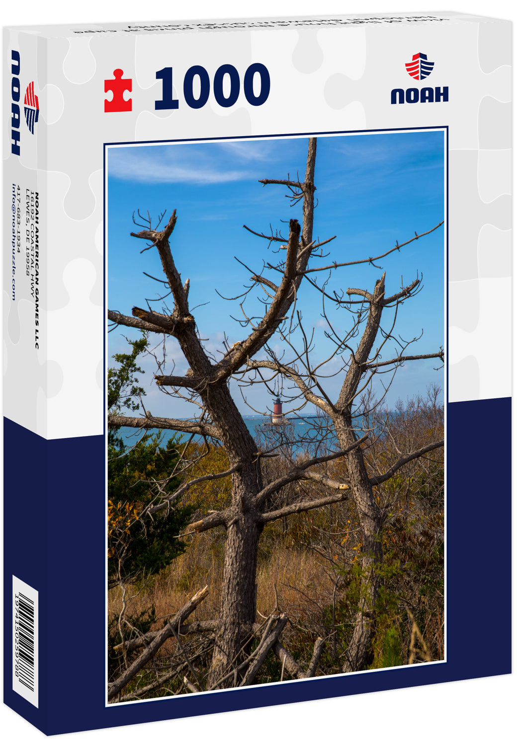 view of light house through pines at cape henlopen delaware sussex county