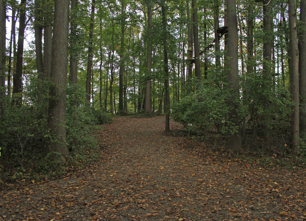 A nice walk in Lums Pond at Bear, Delaware