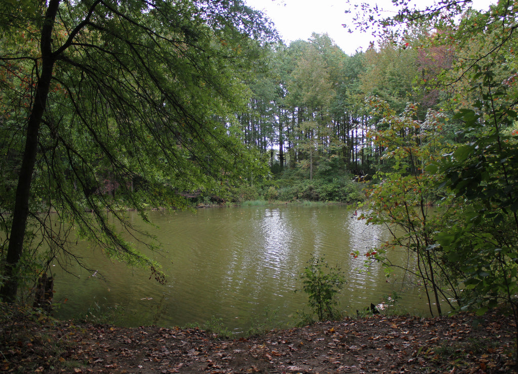 A nice walk in Lums Pond at Bear, Delaware