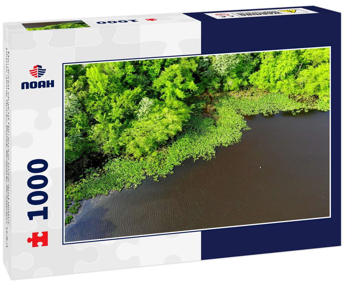 The aerial view of the green trees and water plants along Becks Pond, Newark, Delaware, U.S.A