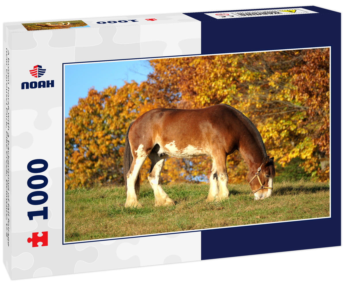 A brown horse with a background of fall foliage near Carousel Park, Pike Creek, Delaware, U.S