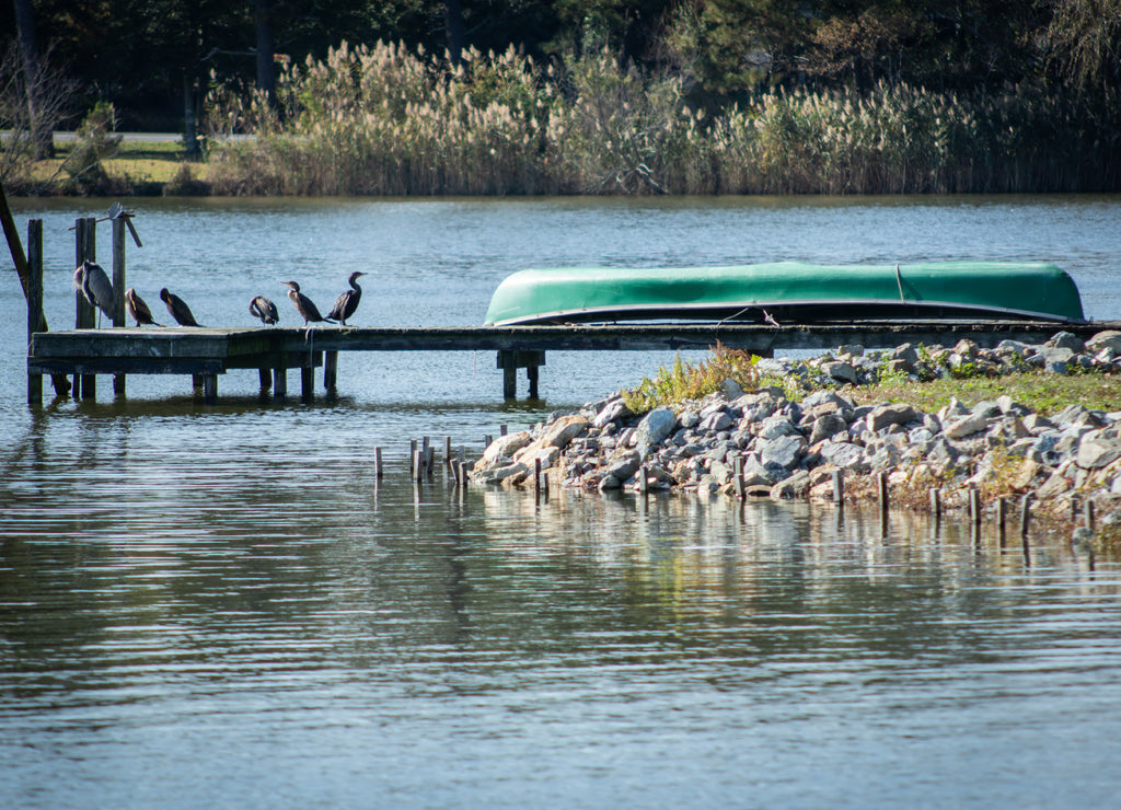 Canoe on dock of Silver Lake, Rehoboth Beach, Delaware