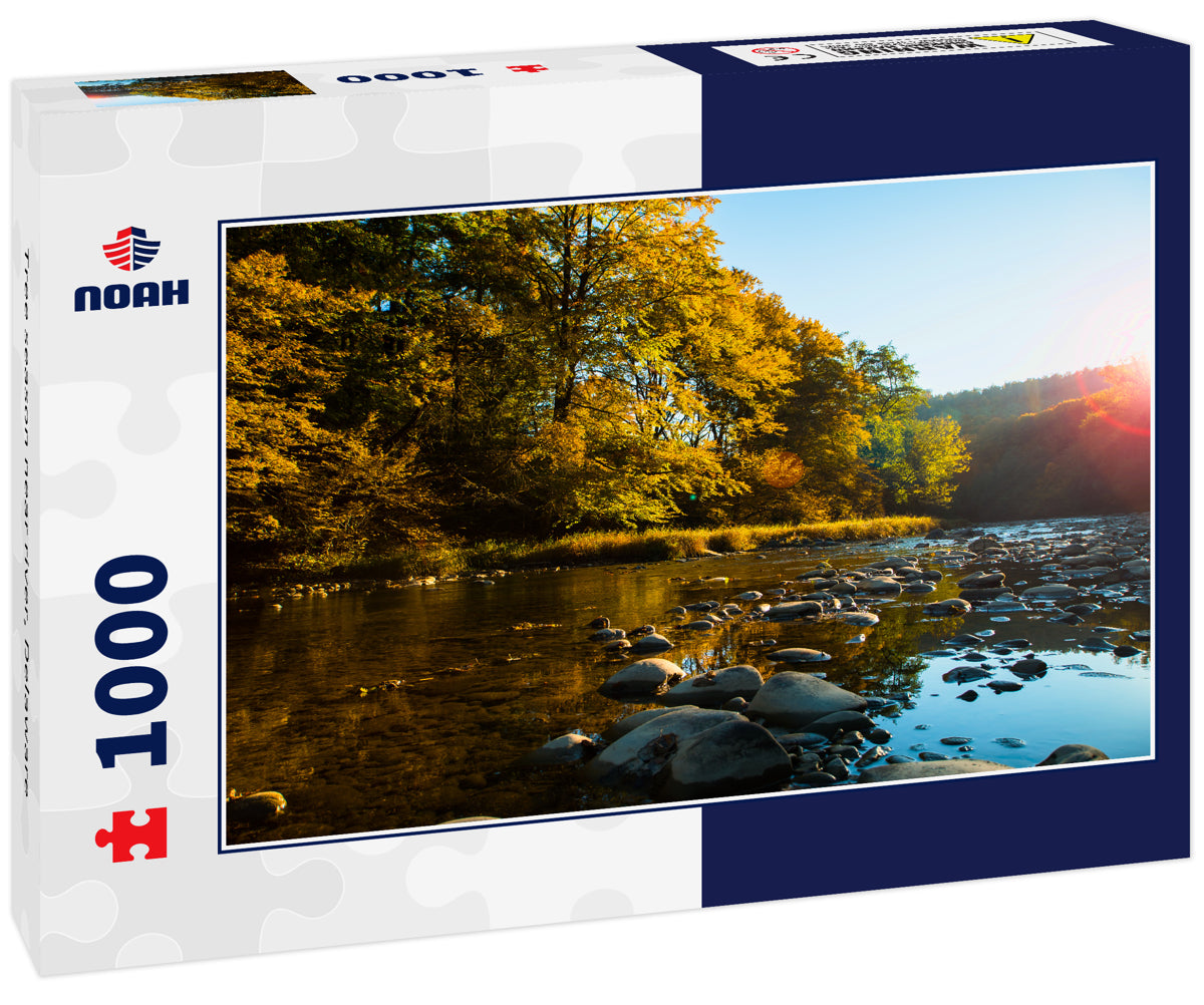 Tree season near river, Delaware