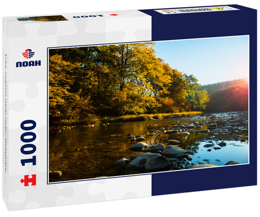 Tree season near river, Delaware