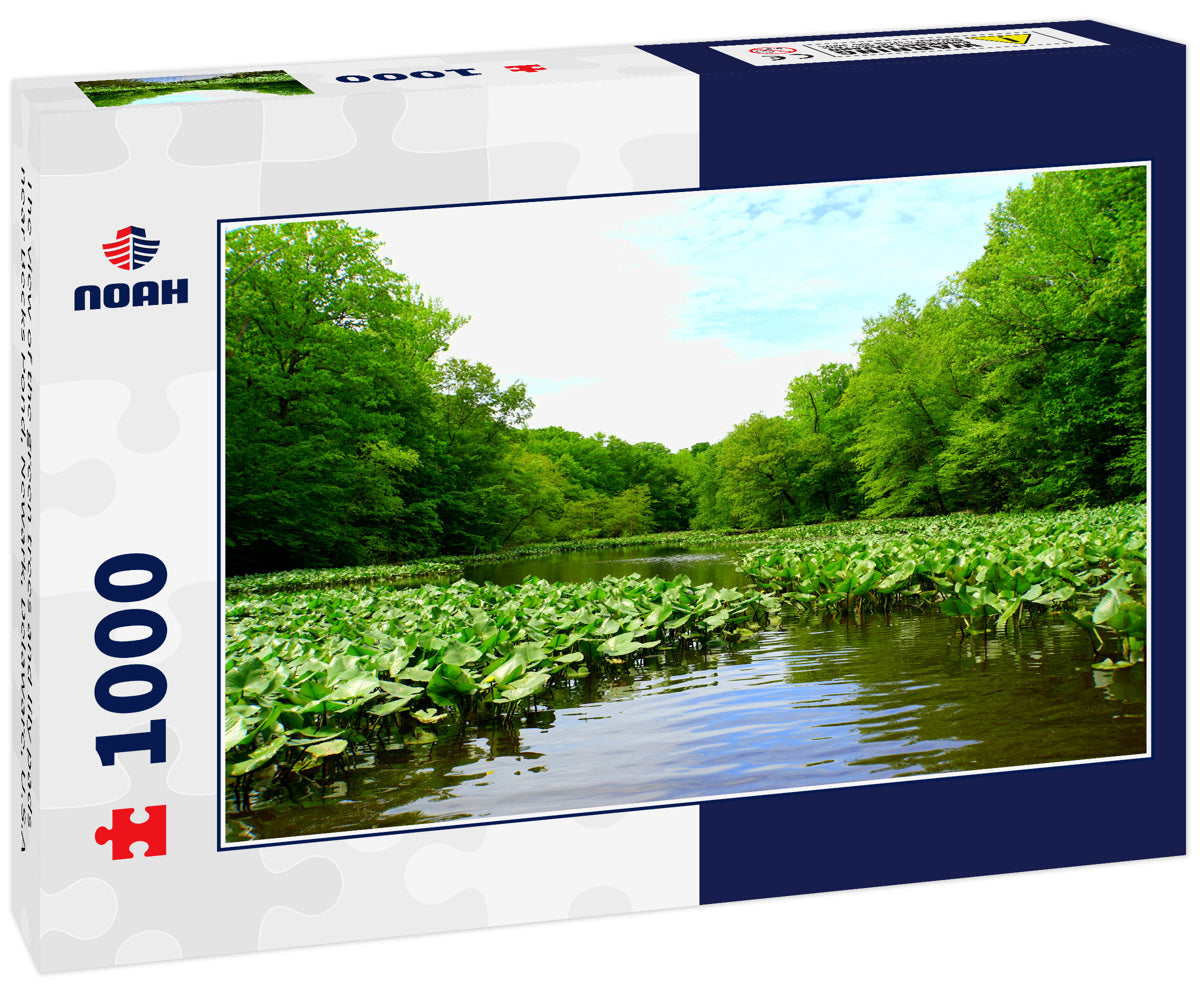 The view of the green trees and lily pads near Becks Pond, Newark, Delaware, U.S.A