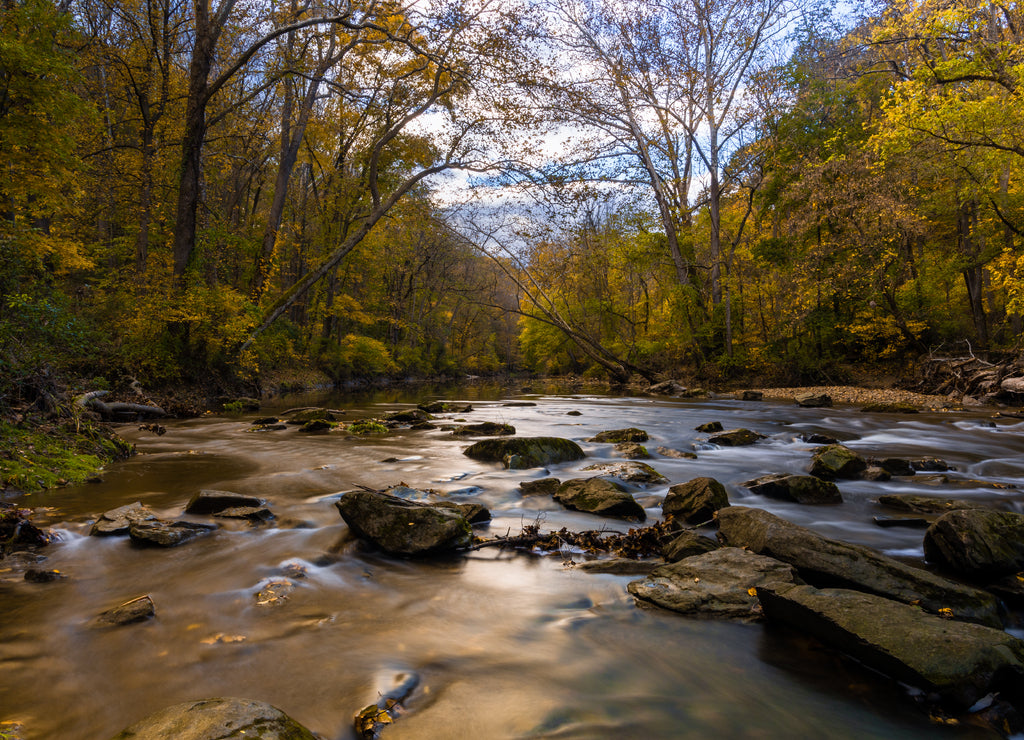 Scenic view of a river flowing in the forest in White Clay Creek State Park, Newark, Delaware