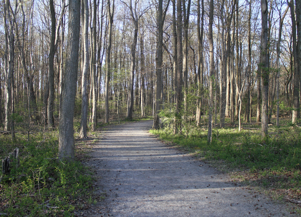 A walk in the beautiful Glasgow Park in Newark, Delaware