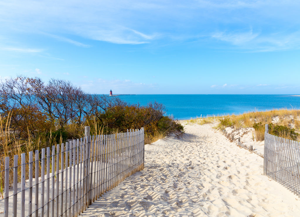 Sandy Path to the Beach Cape Henlopen, Sussex County, Lewes, Southern Delaware, USA