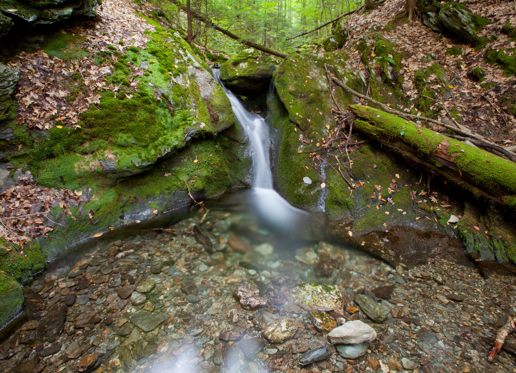 Lulu Brook in Pittsfield, Massachusetts