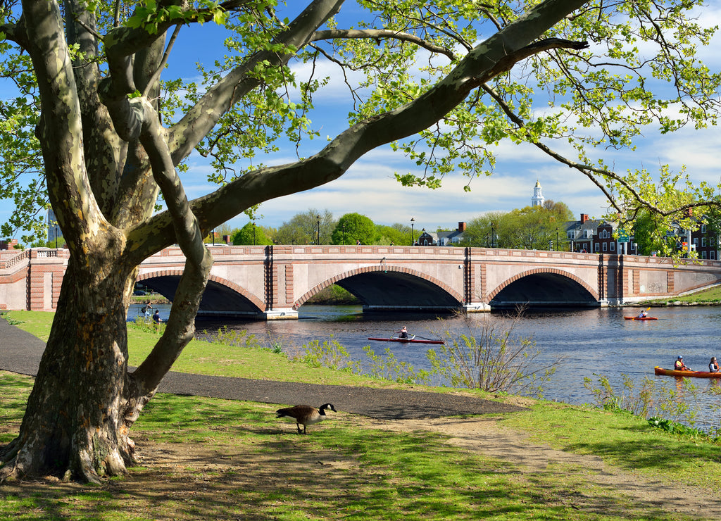 Anderson Bridge in Cambridge, Massachusetts