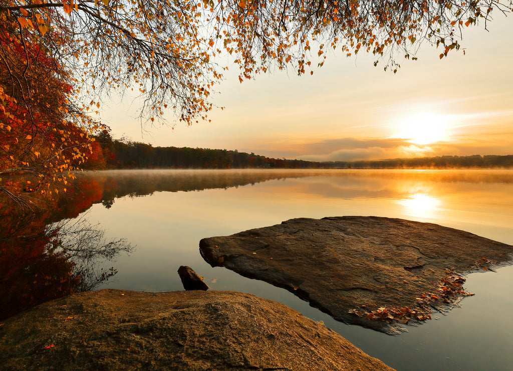 Beautiful New England Fall Foliage, Boston Massachusetts