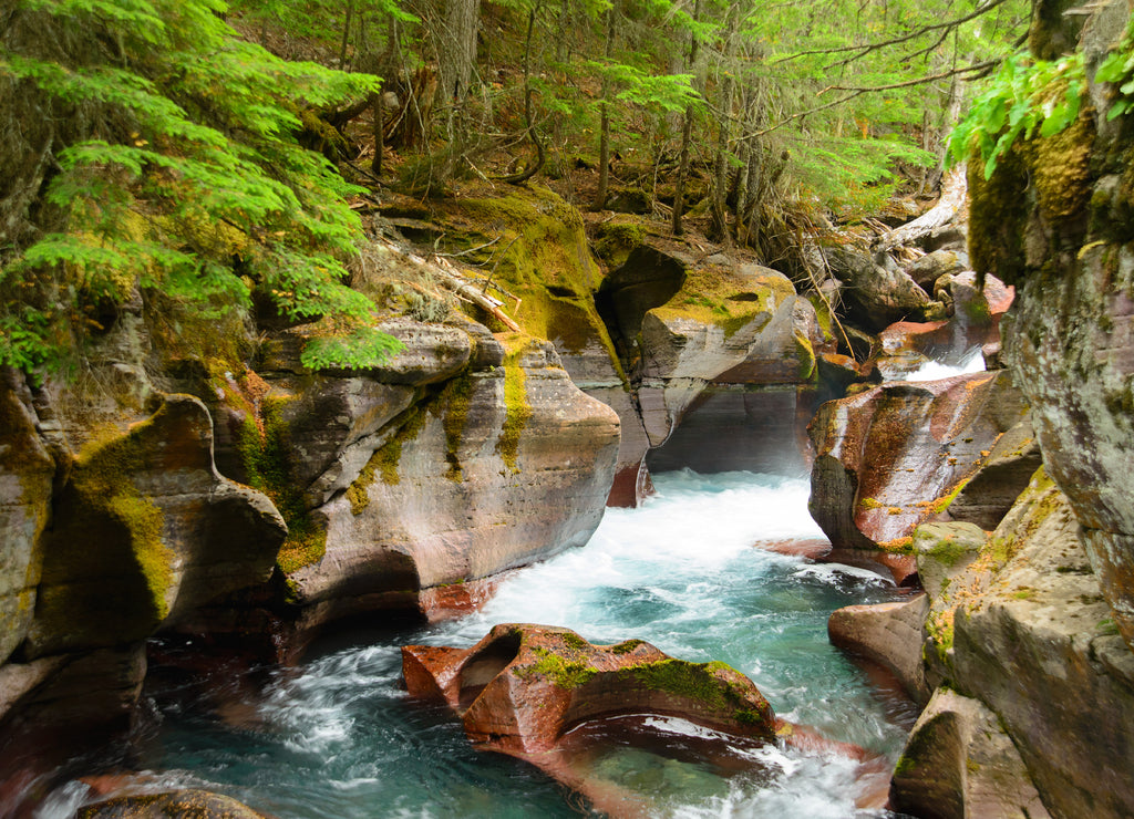 Avalanche Gorge ,Glacier national park ,Montana