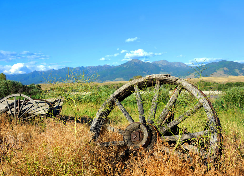 Abandoned long ago, this broken and discarded wagon, sits overgrown with weeds in Paradise Valley, Montana. Wagon faces the Absaroka Mountains