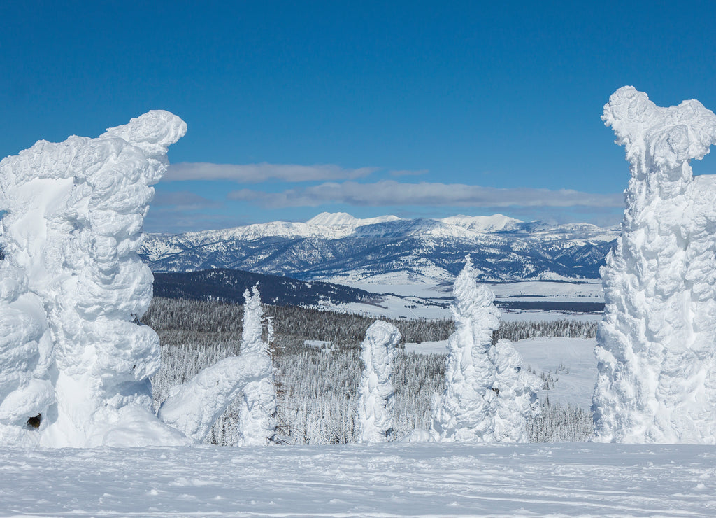 Ghost Trees on Two Top Mountain, West Yellowstone, Montana