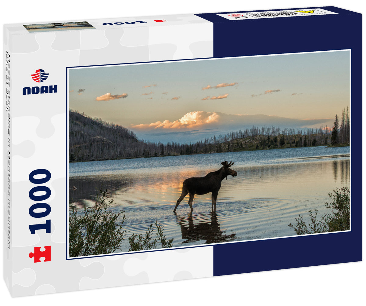 Moose standing in Montana mountain lake at dusk