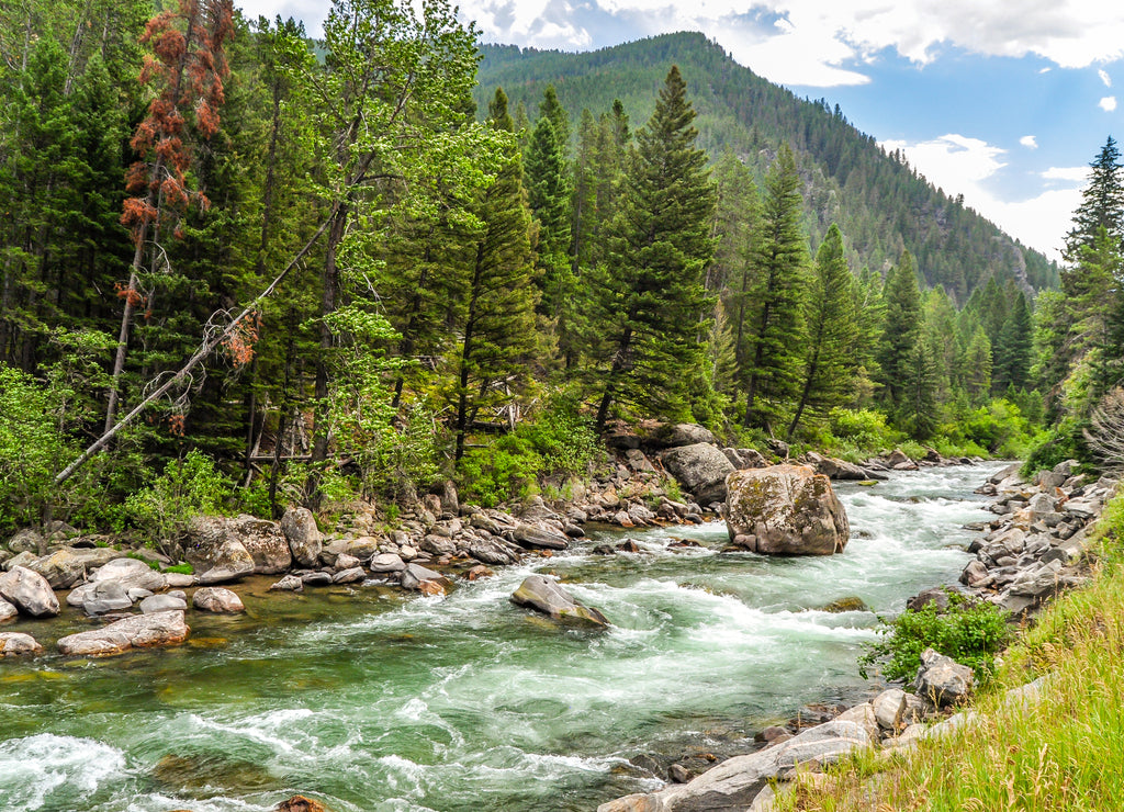 The Waters of the Gallatin River Flow Down From the Mountains of Montana