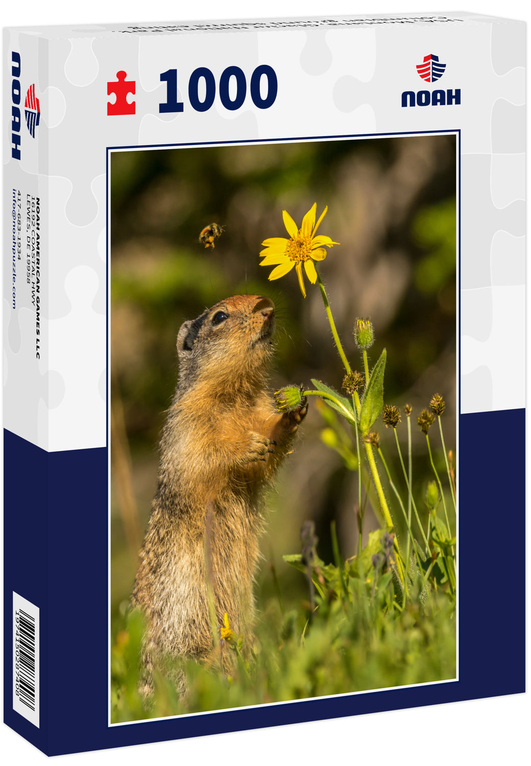 USA, Montana, Glacier National Park. Columbian ground squirrel eating